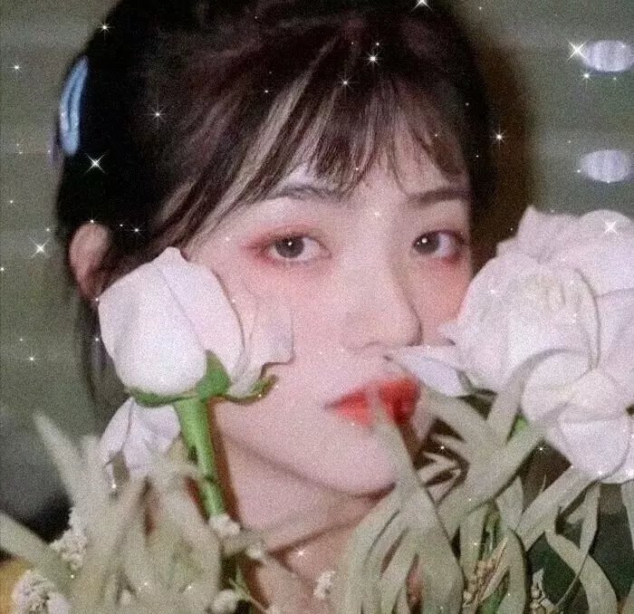 文森特与世界的尽头
